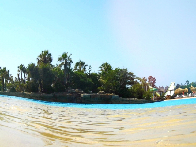 Isla cubierta de vegetacion en el parque